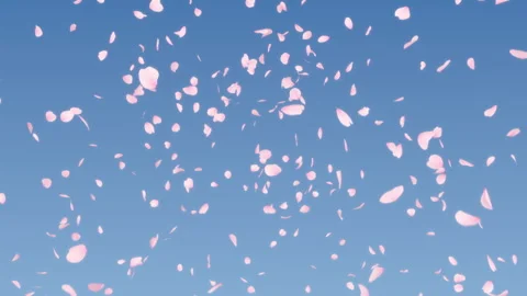 Cherry Blossom Explosion on Pastels Background Stock Footage 288961533