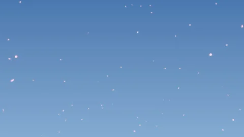 Cherry Blossom Explosion on Pastels Background Stock Footage 297360302