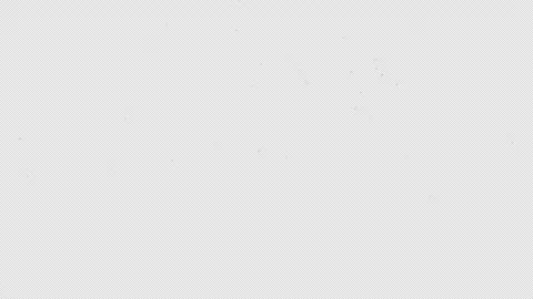 Cherry Blossom Fall on Alpha Stock Footage 281840962