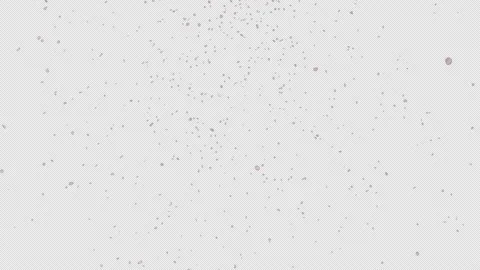 Cherry Blossom Fall Stock Footage 224661285