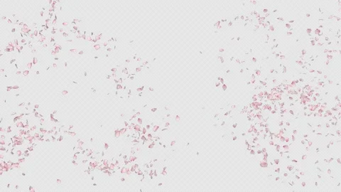 Cherry Blossom Fall Loop Stock Footage 155720763