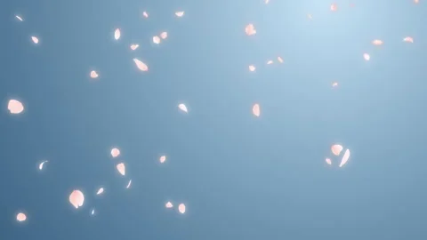 Cherry Blossom Fall Loop on Pastel Background Stock Footage 256120555