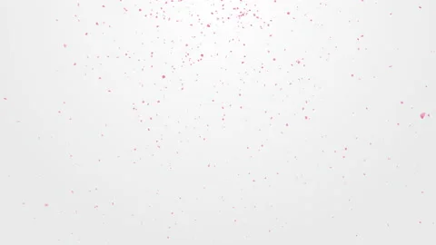 Cherry Blossom Fall on White Background Stock Footage 220010866