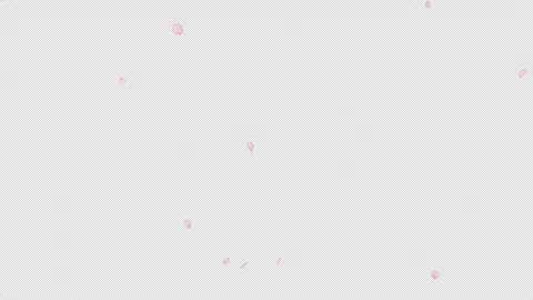 Cherry Blossom Falling Alpha Seamless Loop Stock Footage 320674667