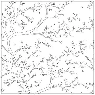 Cherry Blossom Flower illustration pattern outline sketch イラスト素材