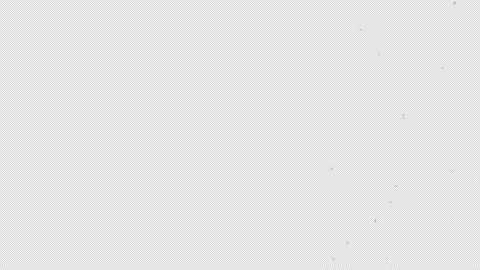 Cherry Blossom Stock Footage 192212218