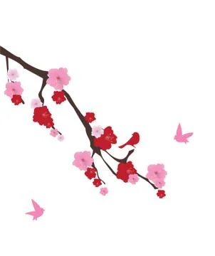 Cherry Blossom Stock Illustration