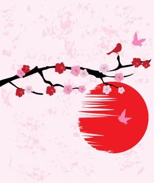 Cherry Blossom Stock Illustration