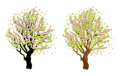 Cherry with blossom Ilustração Stock