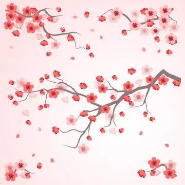 Cherry blossom Stock Illustration