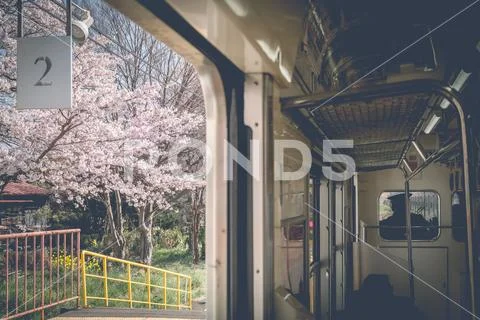 Cherry Blossom With Outside From Japan Classic Train. Vintage Filter Effect