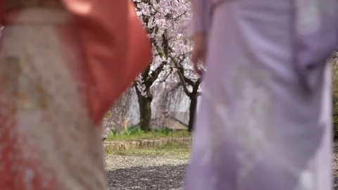 Cherry Blossom Path Framed by Blurred Kimono Figures Stockbeeldmateriaal 344862081