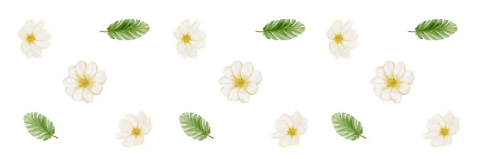 Cherry blossom pattern for textile and fabric design with leaves in seamles.. Stock Illustration