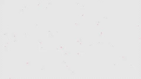 Cherry blossom petal falling with alpha channel. Stock Footage 288422897