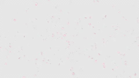 Cherry blossom petal falling with alpha channel. Stock Footage 295012261