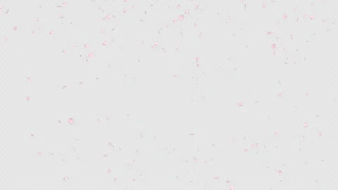 Cherry blossom petal falling with alpha channel. Stock Footage 295012272