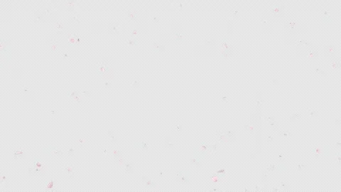 Cherry blossom petal falling with alpha channel. Stock Footage 301770524
