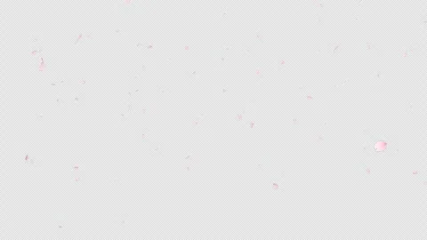 Cherry blossom petal falling with alpha channel. Stock Footage 301770580