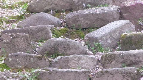 Cherry blossom Petals are falling like snow at Tsuruga Castle, Fukushima, Japan Stock Footage 101089983