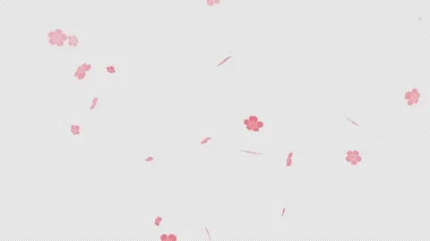Cherry Blossom Petals Falling with Alpha Channel Transparent Overlay Stock Footage 331599178
