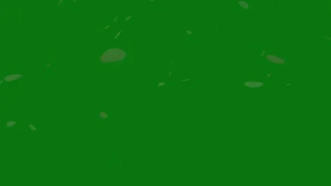 Cherry blossom petals falling animation on chroma key background. Stock Footage 297360097