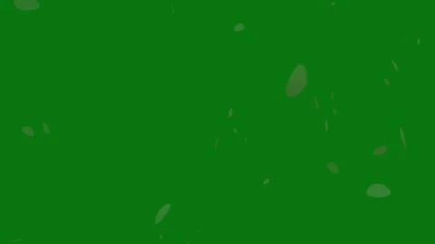 Cherry blossom petals falling animation on chroma key background. Stock Footage 297360133
