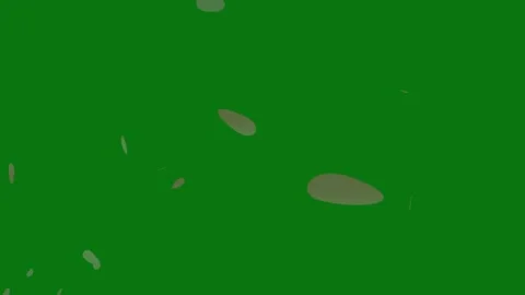 Cherry blossom petals falling animation on chroma key background. Stock Footage 297360134