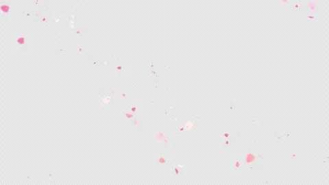 Cherry Blossom Petals Falling Overlay with soft pink sakura petals 4K Alpha Vídeos de archivo 346126501