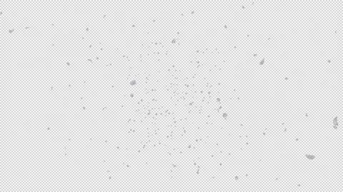 Cherry blossom petals Stock Footage 165143739