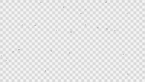 Cherry blossom petals Stock Footage 165647486