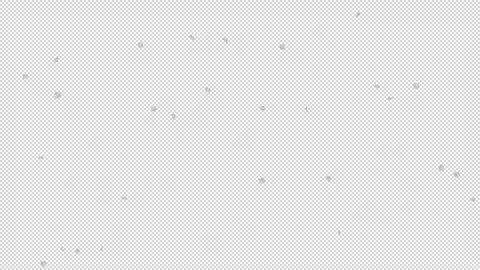Cherry blossom petals Stock Footage 165650925