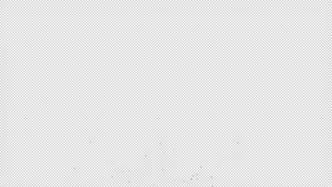 Cherry blossom petals Stock Footage 165669233