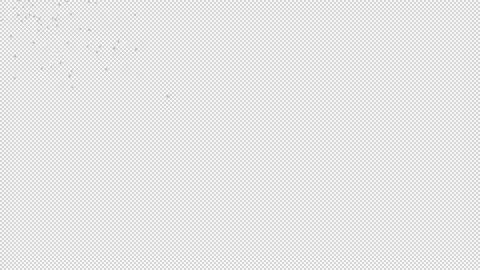 Cherry blossom petals Stock Footage 165734978