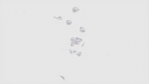 Cherry blossom petals Stock Footage 165805144