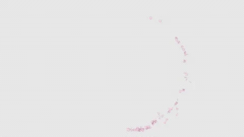 Cherry Blossom Petals Slow Flow Circle Stock Footage 236358499