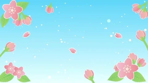 Cherry blossom petals spring animation frame video Stock Footage 169003504