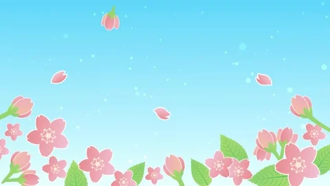 Cherry blossom petals spring animation frame video Stock Footage 169003589