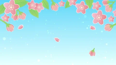 Cherry blossom petals spring animation frame video Stock Footage 169003596
