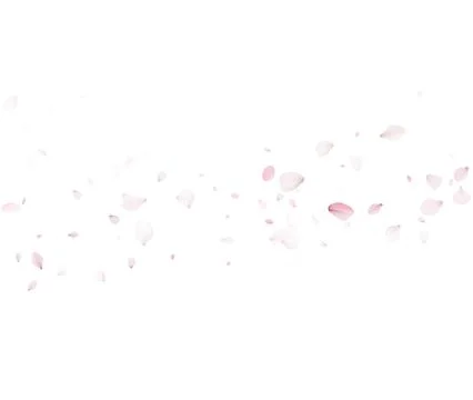 Cherry Blossom Petals Vector Floating For Beauty And Skincare Branding Stock Illustration