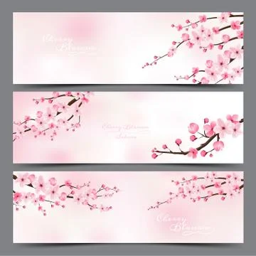 Cherry blossom realistic vector, sakura, japan, blur background Stock Illustration