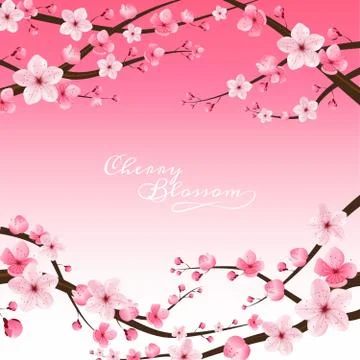 Cherry blossom realistic vector, sakura, japan Stock Illustration