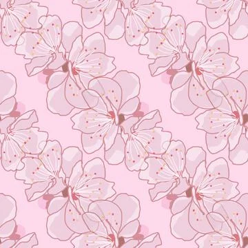 Cherry blossom repeat pattern on pink background Stock Illustration