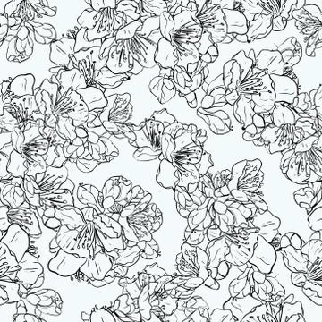 Cherry blossom, sakura seamless pattern. Stock Illustration