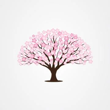 Cherry Blossom / Sakura tree vector illustrations Stock Illustration