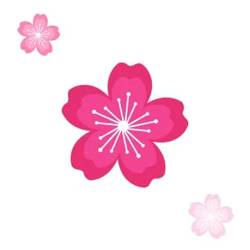 Cherry blossom / sakura vector illustration Stock Illustration