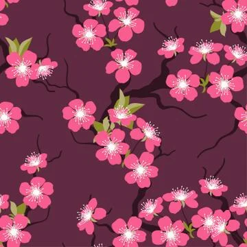 Cherry blossom seamless flowers pattern Stock Illustration