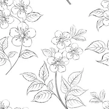 Cherry blossom seamless pattern. Hand drawn spring blossom trees. Floral pattern Stock Illustration