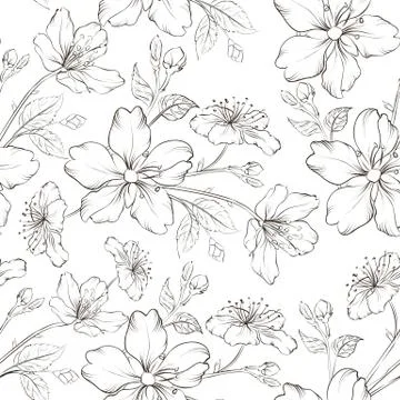Cherry blossom seamless pattern. Illustrazione stock
