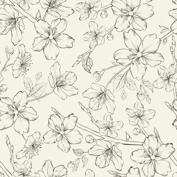 Cherry blossom seamless pattern. Stock Illustration