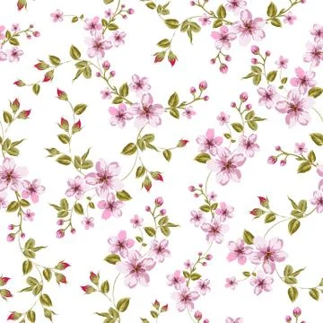 Cherry blossom seamless pattern. Stock Illustration